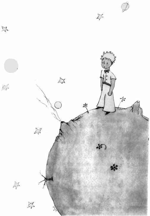 《小王子》插图