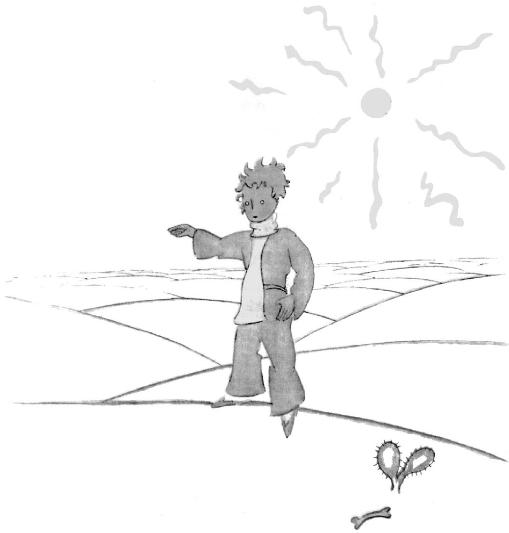 《小王子》插图