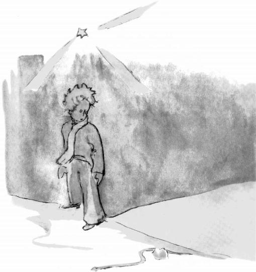 《小王子》插图