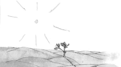 《小王子》插图