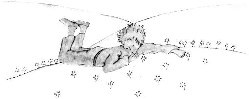 《小王子》插图