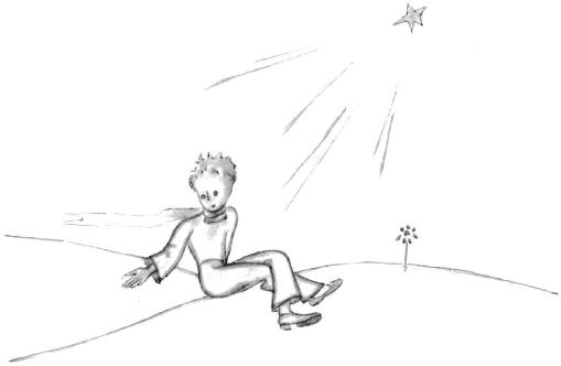 《小王子》插图