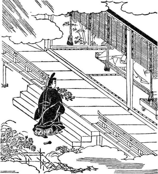 插图